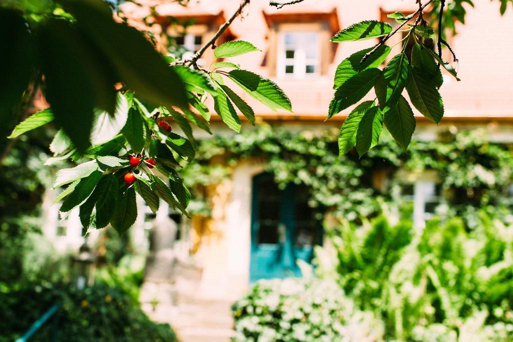 Hotel Villa Sorgenfrei & Restaurant Atelier Sanssouci Radebeul Buitenkant foto